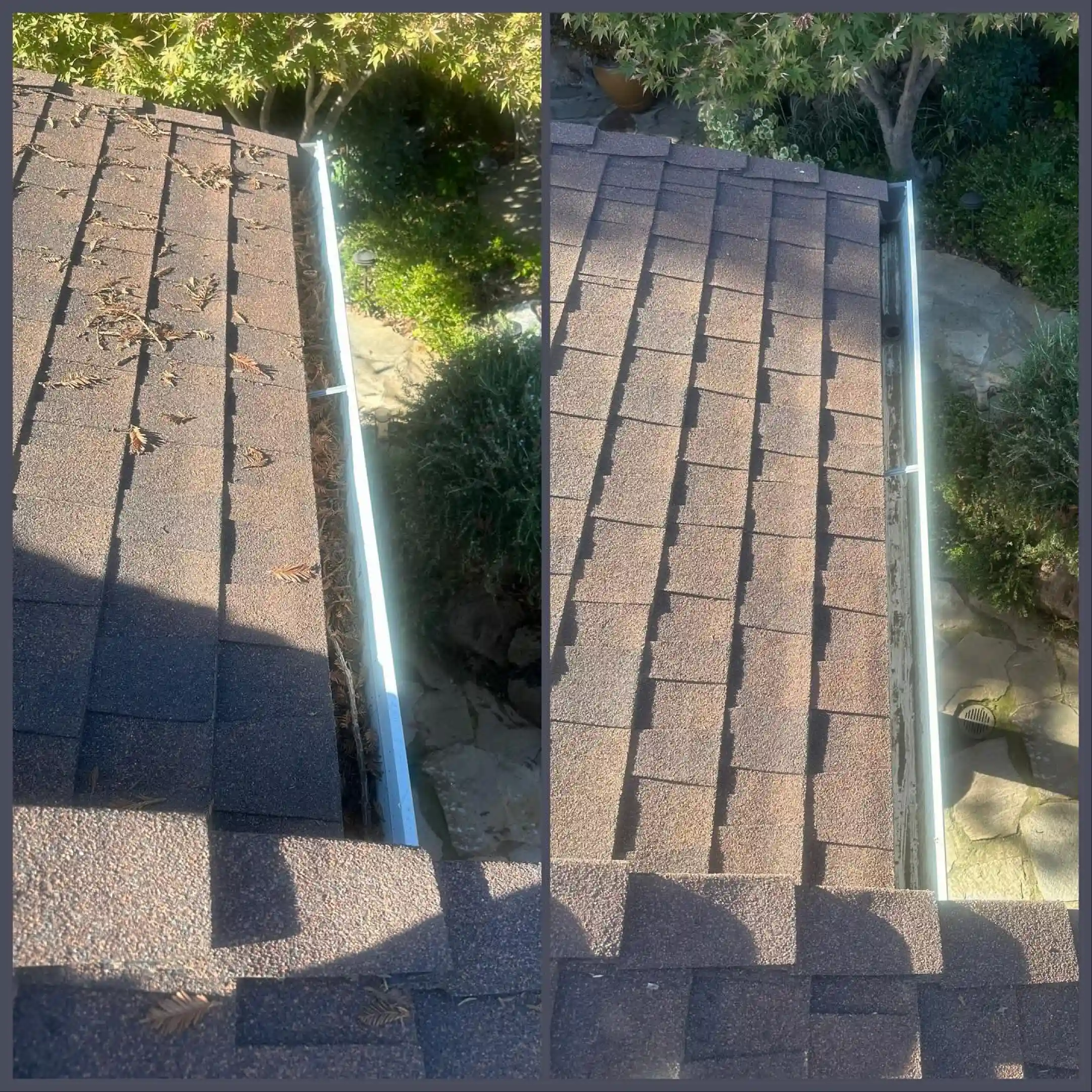 Roof Cleaning Services (1) roof cleaning 1
